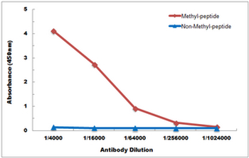 Histone H3 (DiMethyl-K4) Antibody
