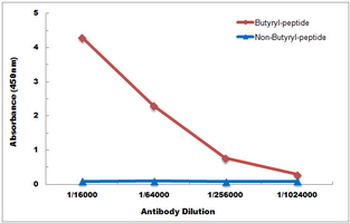 Histone H3 (Butyryl-K18) Antibody