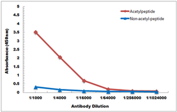 Histone H3 (AcK115) Antibody