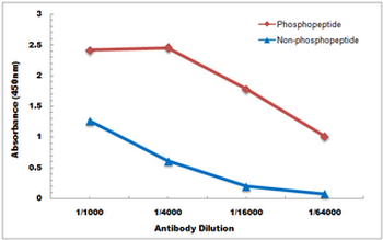 DSCR1 (pS108) Antibody