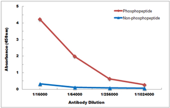 MITF (pS180) Antibody
