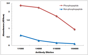 LAT (pY161) Antibody