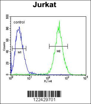 SELPLG Antibody (C-term)