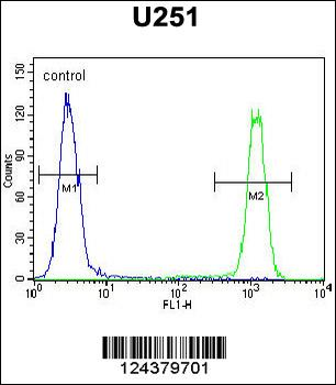 CB018 Antibody (C-term)