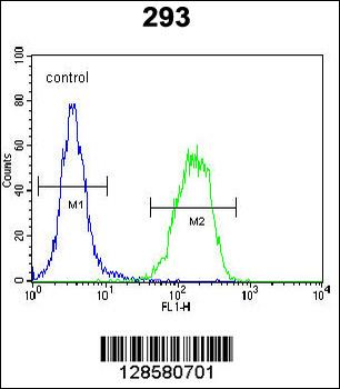 PCOTH Antibody (Center)