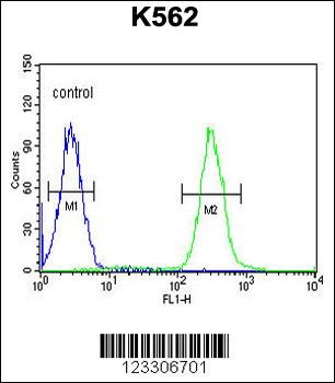 TNFAIP8 Antibody (N-term)