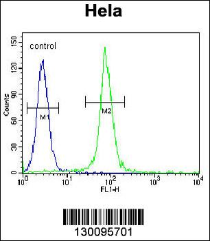 ADO Antibody (C-term)