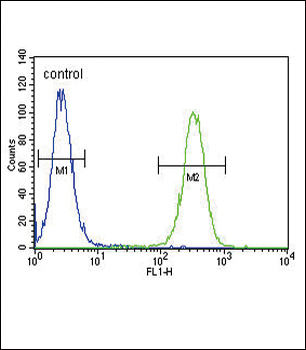 INHBA Antibody (N-term)