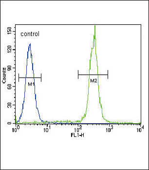 BTC Antibody (N-term)