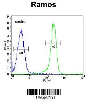 PDE4B Antibody (Center)