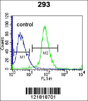 TNFSF15 Antibody (Center)