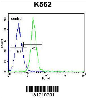 JAG1 Antibody (C-term)