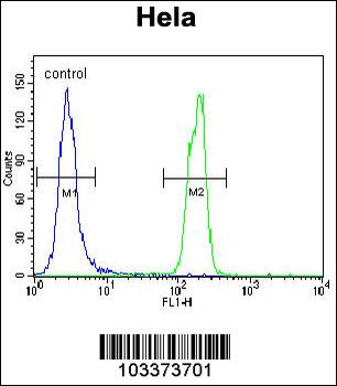 SUMO1 Antibody (N-term E67)
