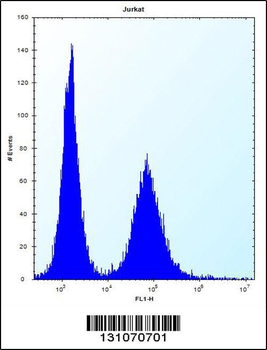 RPL11 Antibody (N-term)