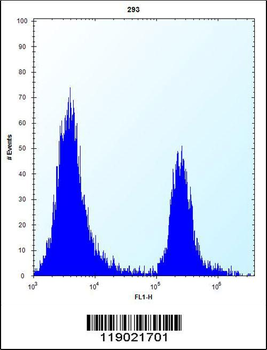 CPN1 Antibody (Center)
