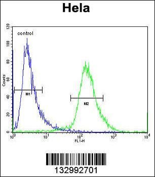 YE016 Antibody (Center)
