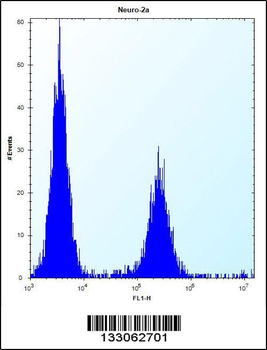 DCBLD2 Antibody (C-term)