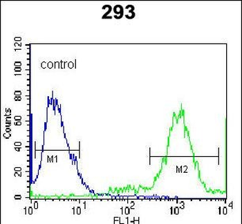 Ufc1 Antibody (C-term)