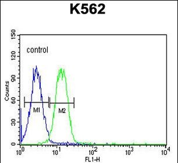 AVIL Antibody (N-term)