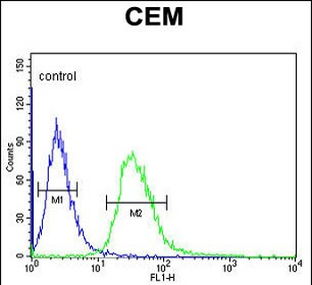 TSPAN7 Antibody (Center)