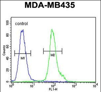 NPM3 Antibody (N-term)