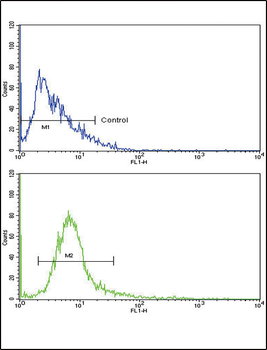 ABCC1 Antibody (C-term)