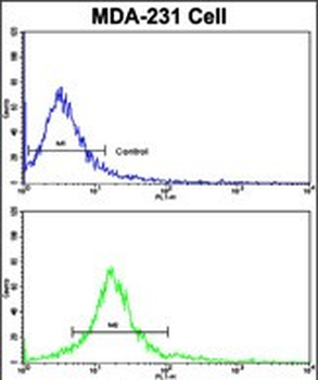 DOM3Z Antibody (N-term Y88)