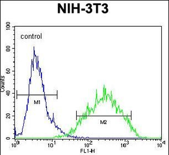RAN Antibody (Center)