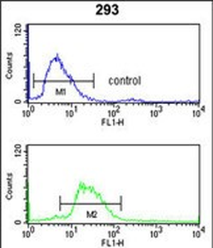 LRG1 Antibody (Center)