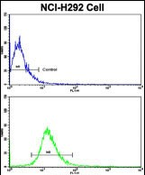 DPT Antibody (Center)