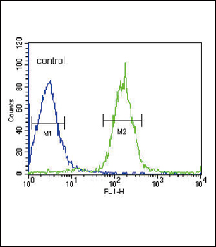 PLA2G6 Antibody (Center)