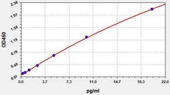 Monkey IL-6 (Interleukin 6) ELISA Kit