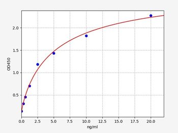 Rat JNK (C-Jun N-Terminal Kinases) Quick ELISA Kit