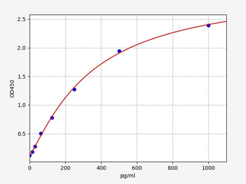 Rat CAMK2 (Calcium/Calmodulin-Dependent Protein Kinase-II) Quick ELISA Kit