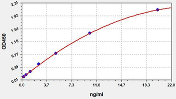 Human AR (Androgen receptor) Quick ELISA Kit