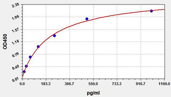 Human PLGF (Placental Growth Factor) Quick ELISA Kit