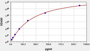 Rabbit IL-6 (Interleukin 6) ELISA Kit