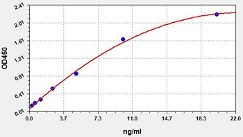 Human SCARB1 ELISA Kit