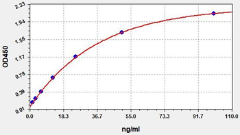 Human anti-nuclear antibody ELISA Kit