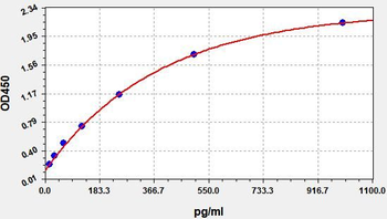 Rat I-PTH ELISA Kit
