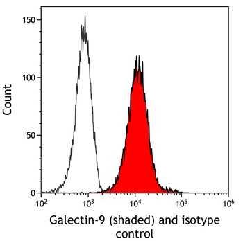 Rabbit Galectin-9/Gal-9 Recombinant Monoclonal Antibody