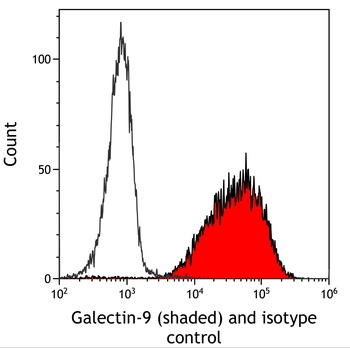Rabbit Galectin-9/Gal-9 Recombinant Monoclonal Antibody