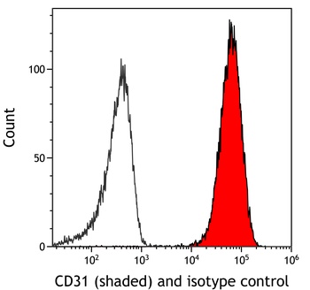 Rabbit CD31 Recombinant Monoclonal Antibody