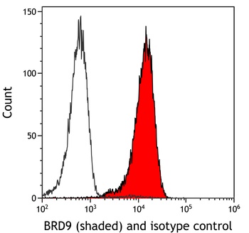 Rabbit BRD9 Recombinant Monoclonal Antibody