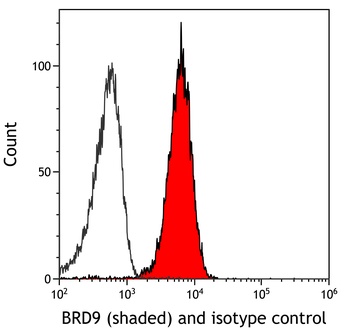 Rabbit BRD9 Recombinant Monoclonal Antibody