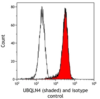 Rabbit UBQLN4/CIP75/Ubiquilin 4 Recombinant Monoclonal Antibody