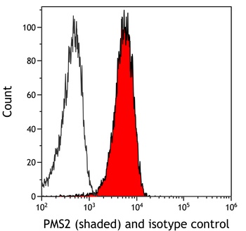 Rabbit PMS2 Recombinant Monoclonal Antibody