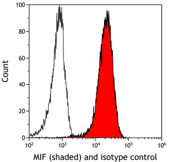 Rabbit MIF Recombinant Monoclonal Antibody