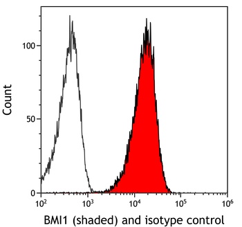 Rabbit BMI1 Recombinant Monoclonal Antibody
