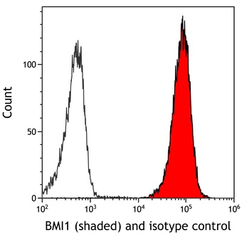 Rabbit BMI1 Recombinant Monoclonal Antibody